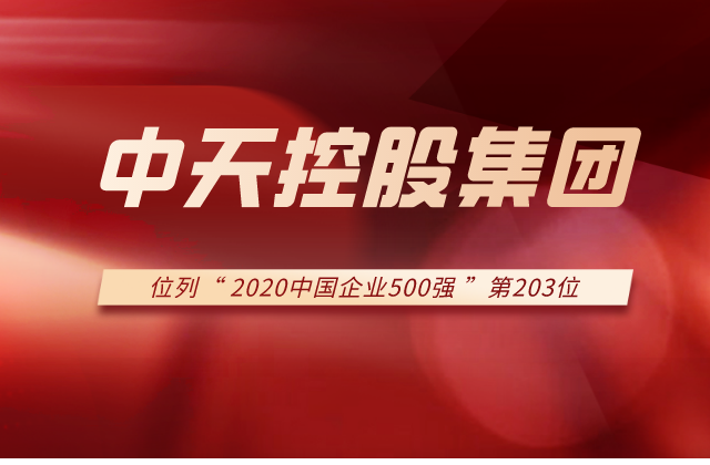 九游老哥集团列2020中国企业500强第203位！